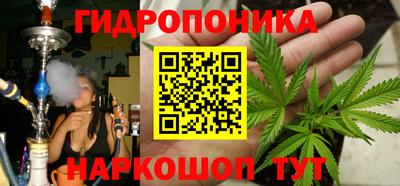 шишки Пушкино