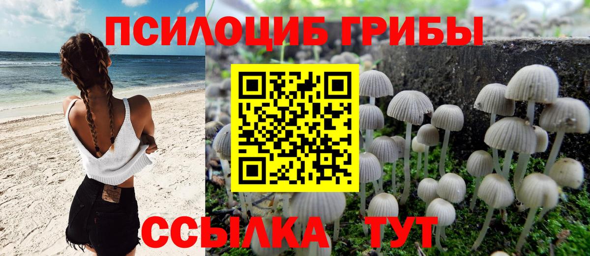 Тобольск  Псилоцибиновые грибы GOLDEN TEACHER  Вход с VPN 