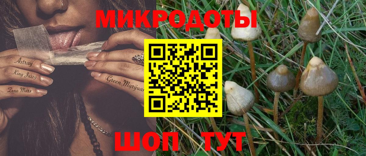 Псилоцибиновые грибы Magic Shrooms Тобольск